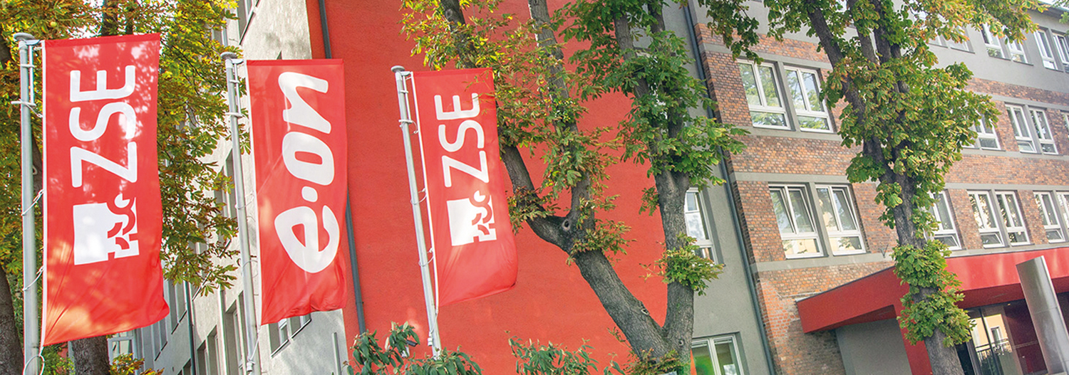 ZSE Group