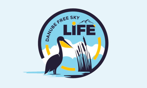 Obloha bez bariér: Sme európskou špičkou v ochrane vtáctva