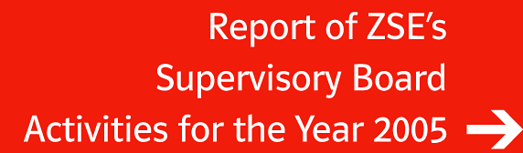 Report of ZSEs Supervisory Board Activities for the Year 2005