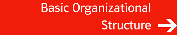 Basic Organizational Structure