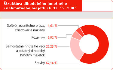 Štruktúra dlhodobého hmotného i nehmotného majetku k 31. 12. 2005