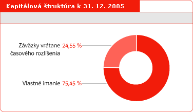 Kapitálová štruktúra k 31. 12. 2005