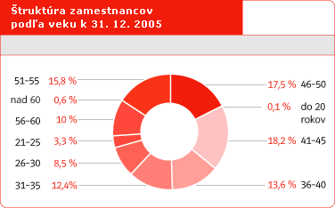 Štruktúra zamestnancov podľa veku k 31. 12. 2005