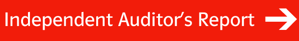 Independent Auditors Report