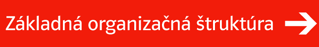 Zkladn organizan truktra