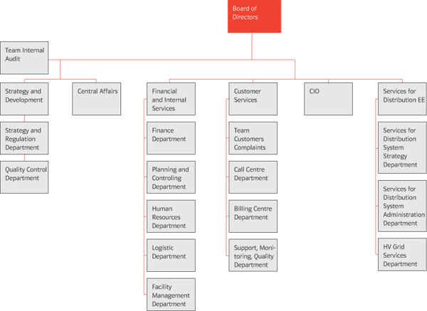 Organizational Scheme as of 31st December 2007