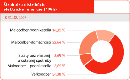 Štruktúra distribúcie elektrickej energie (MWh)