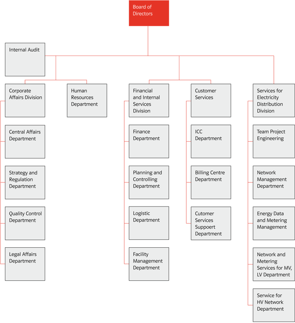 Organizational Scheme as of December 31, 2010